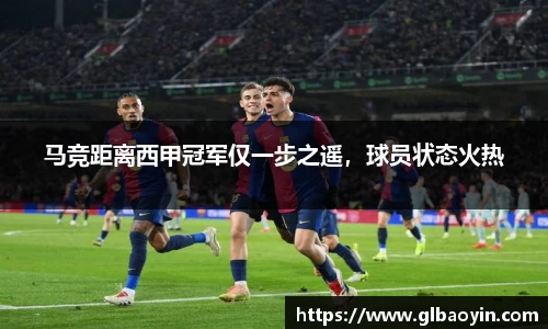 NG体育网址