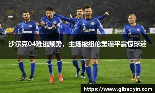 NG体育官网
