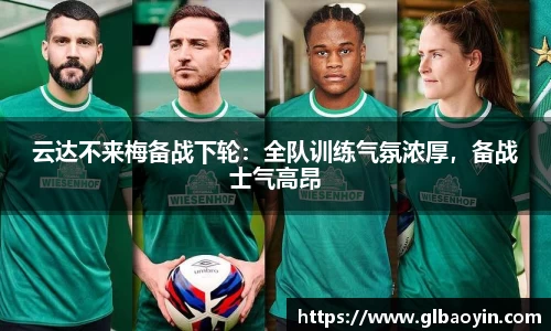NG体育下载