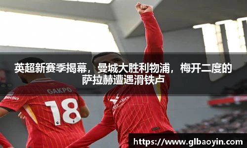 NG体育下载