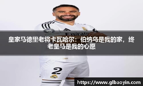 NG体育网址