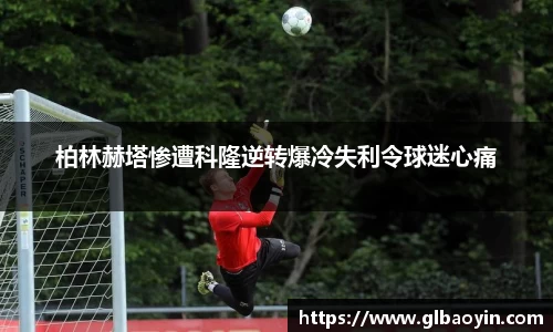 NG体育网址