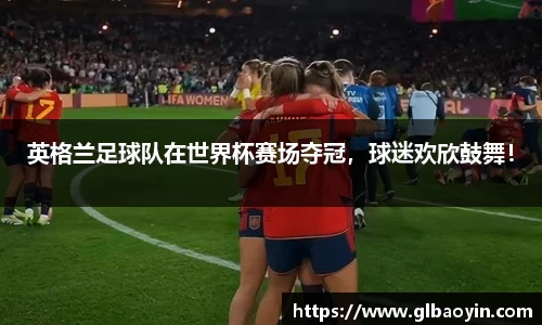 NG体育官网