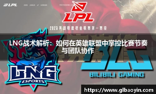 NG体育下载