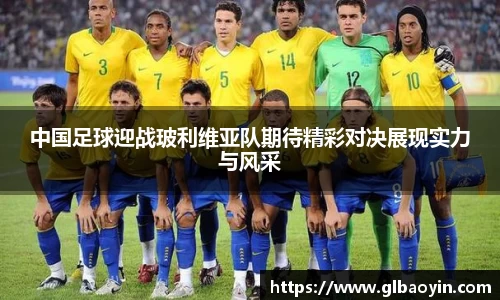 NG体育下载
