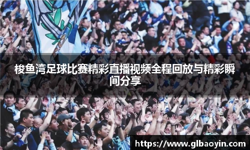NG体育APP