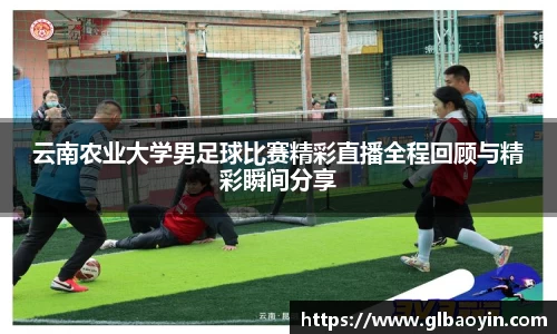 NG体育网址