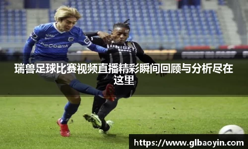 NG体育网址